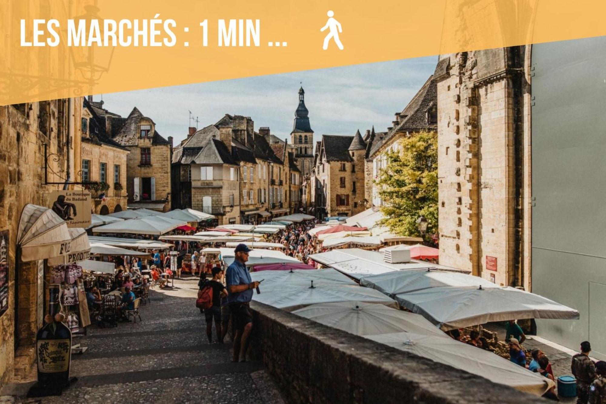 3 Pieces, Climatise, Calme, 100M Du Centre, Parking, "Lyriade" ซาร์ลา-ลา-กาเนดา ภายนอก รูปภาพ